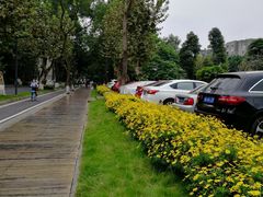 -四川大学(望江校区)