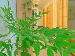 -尔悦采耳·头疗·SPA体验馆(万象城店)