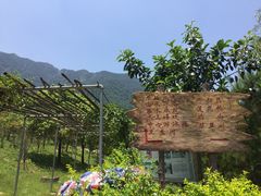 景点-牛鱼嘴原始生态风景区
