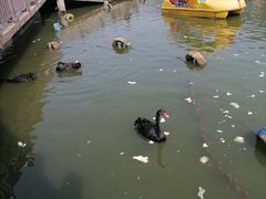 -无锡动物园·太湖欢乐园