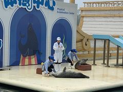 -秦皇岛乐岛海洋王国