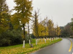 -天目湖涵田度假村
