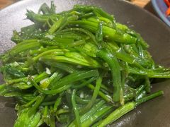 清炒水性杨花-紫滇源云南生态菜(丹凤街店)