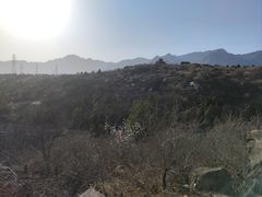 -白水寺森林公园