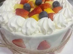 -维尔纳斯·生日蛋糕·动物奶油冰淇淋蛋糕(雨花店)