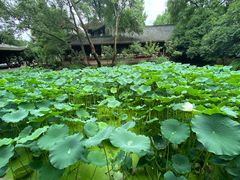 -成都武侯祠博物馆