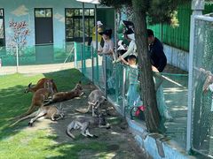 -西霞口神雕山野生动物世界