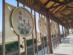 -南湾湖