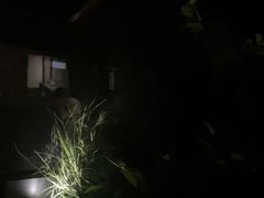 -鹤祥宫影院足道SPA连锁(吉大万国汇钰海店)