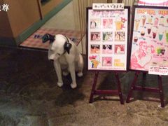 -台场一丁目商店街