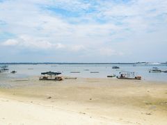 -北海金海湾红树林生态旅游区