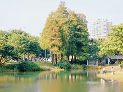 -四海公园(南山区)
