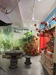 -星豆豆儿童摄影(南郊太白南路店)