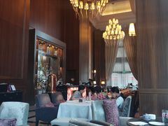 -东海朗廷酒店·廷廊 Palm Court