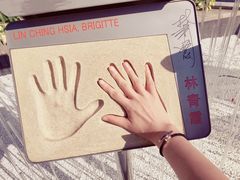-星光大道