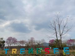 -天适樱花悠乐园