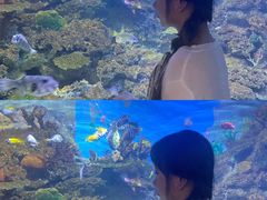-常州海昌海洋探索馆