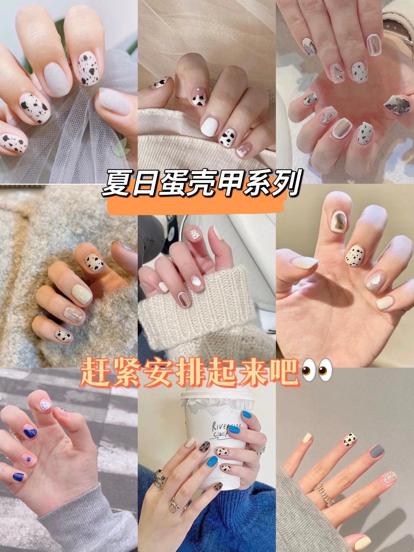 夏日蛋壳甲系列