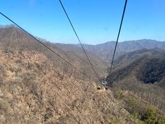 -栾川竹海野生动物园