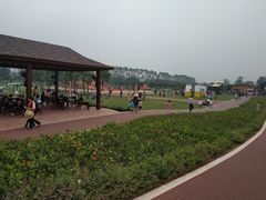 -迪茵湖田家舍生态农场