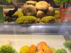 -一朵菌·野生菌探索家火锅(南亚店)