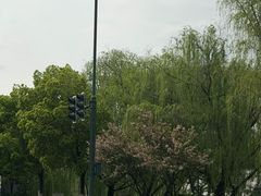 -杭州萧山国际机场