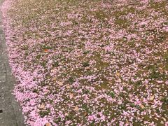 -苏州河梦清园环保主题公园