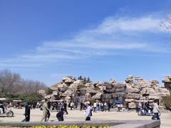 -石家庄市植物园