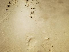 -惠州金海湾嘉华度假酒店