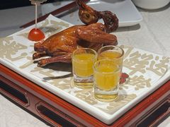-大鸽饭(动物园店)