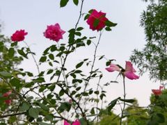-西南政法大学(渝北校区)