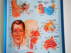 -黑龙江中医药大学附属第一医院
