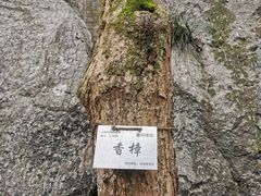-九曜山
