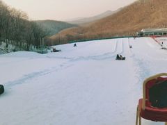 -五家山森林公园滑雪场