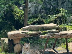 -贵州森林野生动物园