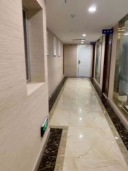 -碧莲盛·不剃发植发