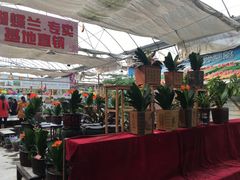 -秦美花卉(天朗·莱茵小城2期店)