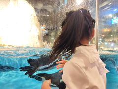 -帝企鹅自助餐厅•儿童岛•真企鹅(长隆企鹅酒店)