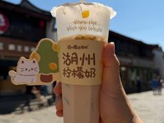 -猫的魔法密林(衣裳街店)
