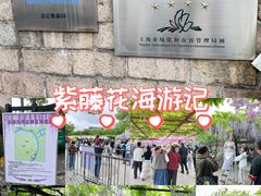 -嘉定紫藤园