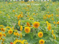 -国际非物质文化遗产博览园