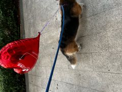 -观澜湖新城运动奥莱区