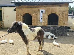 -HERRE·FARM 赫尔露营农场·团建聚会包场