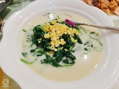 鲜豆瓣煮豌豆尖-陆壹捌餐厅(五大道店)