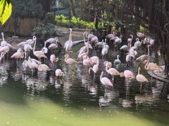 -九龙公园