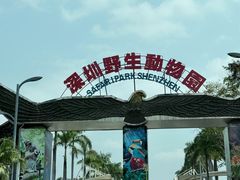 -深圳野生动物园