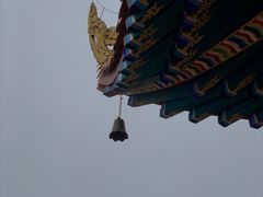 -东莞市大岭山森林公园