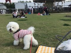 -栖露营camping·天幕烧烤·团建拓展·采摘营地