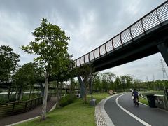 -王借岗森林公园