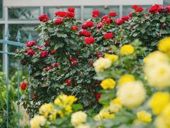 -国家植物园南园